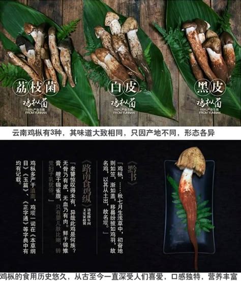 野味之味：探索大自然的珍饈