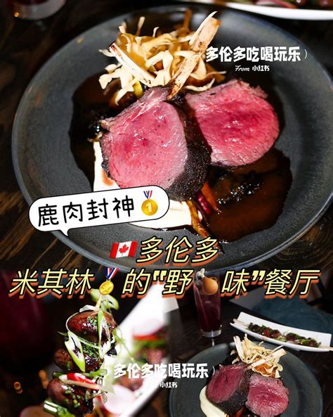 野味珍饈：鹿肉