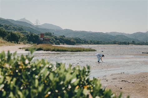 野味：大自然的隱藏寶藏