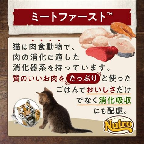 野生を味わう子猫のためのレシピ