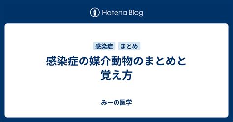 野良猫が媒介する感染症の種類