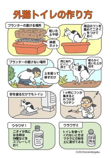 野良猫のトイレ覚えさせ方のポイント