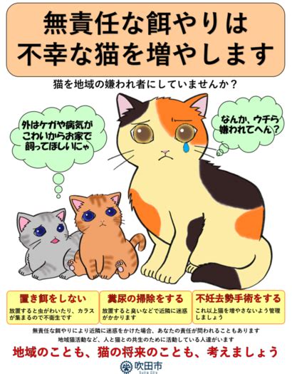 野良猫の目やにに関する包括ガイド