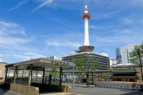 野良猫保護団体 in 京都