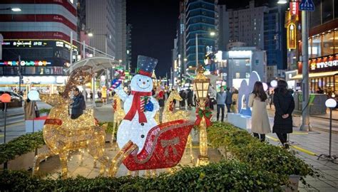 釜山 11 月楓葉