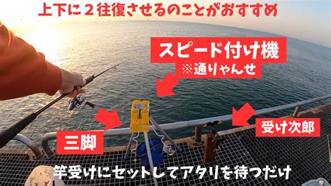 釣果の向上: