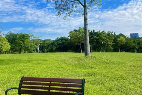 鈴蘭公園：繁華都市中的綠洲