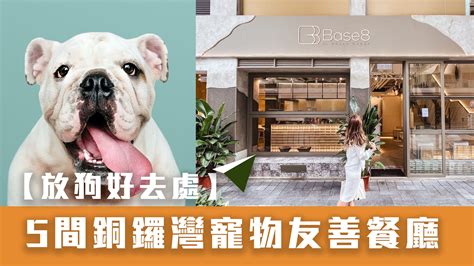 銅鑼灣「寵物 友善」商店總覽