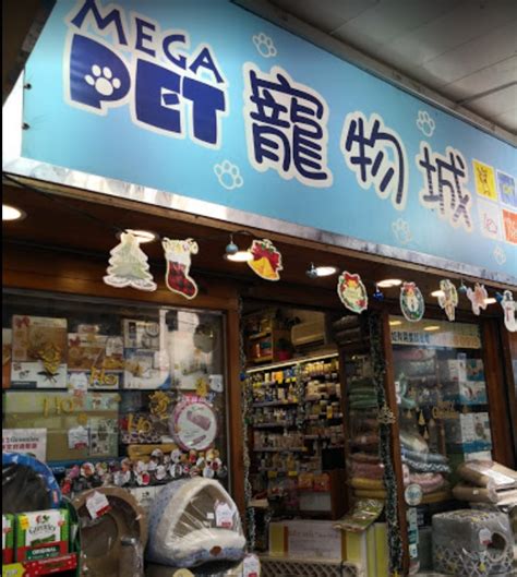 銅鑼灣寵物店5大熱門攻略，讓你成為稱職的毛孩爸媽！