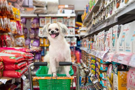 銅鑼灣寵物用品店的優勢