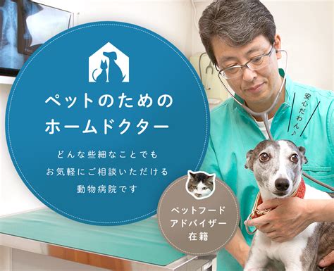 鏡どうぶつ病院: ペットの健康管理に役立つガイド