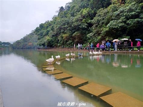 長埤湖，臺灣最大的濕地天堂