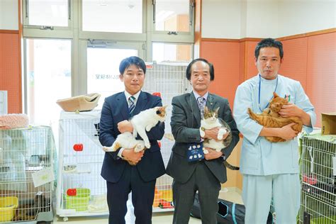 長岡市動物愛護センター完全ガイド