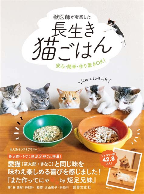 長生き猫の秘訣と健康管理