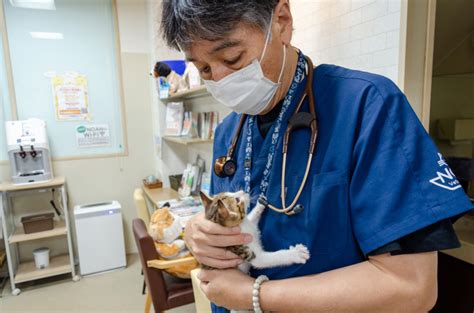 関根動物病院で最高のペットケアを受けましょう