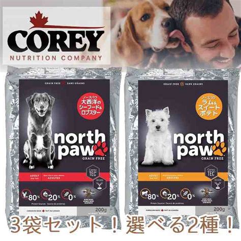 關於 Corey North Paw：踏上探索原住民傳統知識的旅程