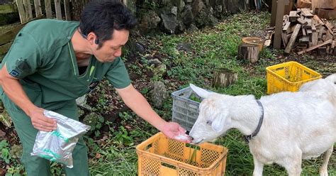 阪南市の信頼できる獣医