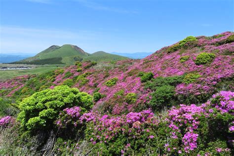 阿蘇，一個位於日本九州熊本縣的著名觀光勝地，以其壯麗的火山景觀、豐富的自然美景和傳統文化而聞名。