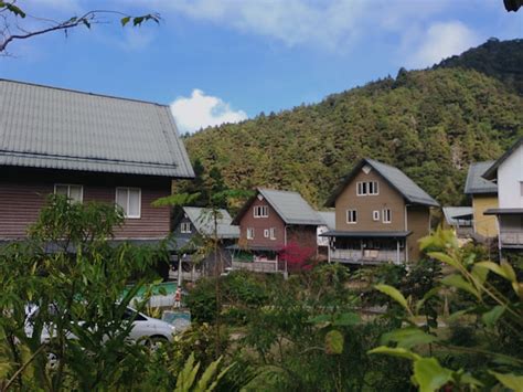 阿里山健行，踏上雲霧繚繞的仙境