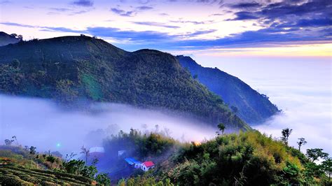 阿里山國家風景區：