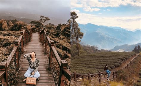 阿里山登山步道全攻略