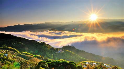 阿里山，一個被譽為「台灣八景」之一的國家風景區，其豐富的自然生態、壯闊的山巒景色，吸引了無數國內外遊客前來朝聖。