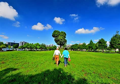 陽光城的願景