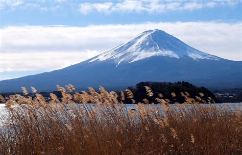 陽光度假村山梨縣