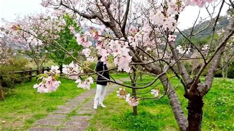 陽明公園服務中心