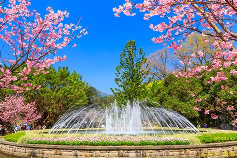 陽明山國家公園