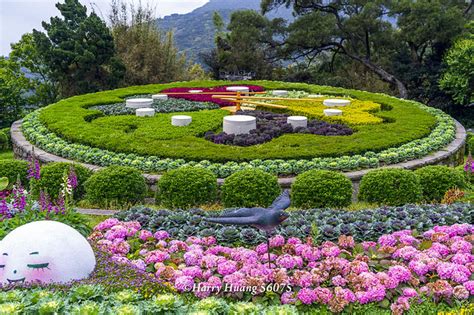 陽明山花鐘開啟城市形象新視野，打造台北市花卉新地標