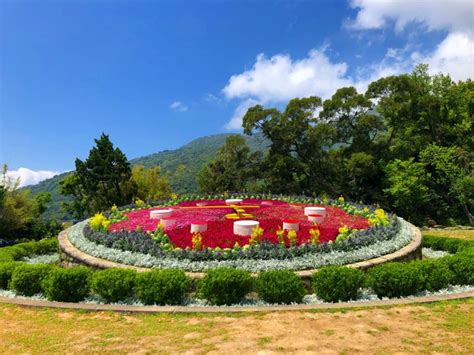 陽明山花鐘，揭開花卉盛宴的盛大序幕