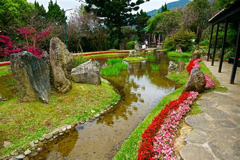 陽明 公園 服務 中心