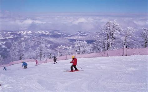 陽智松岳度假村：