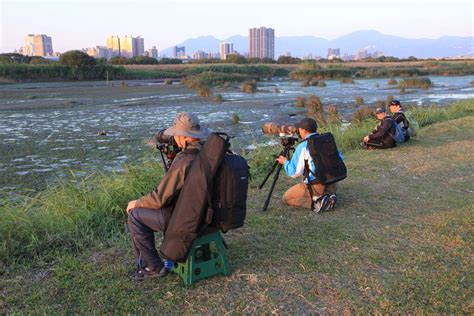 雁鴨公園