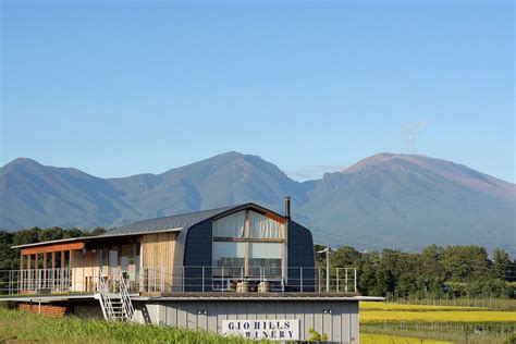 雄大な浅間山のパノラマビュー