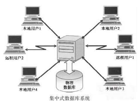 集中式資料管理：