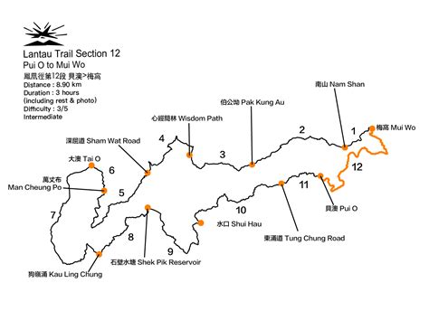 離島寵物生活指南：享受與毛孩的 Lantau 時光