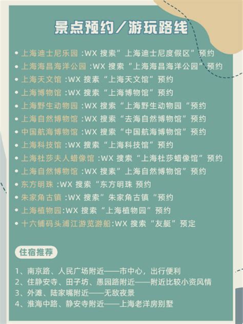 離島寵物 2023完全攻略：吃、住、遊全攻略！