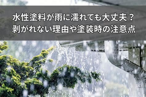 雨に濡れても大丈夫：