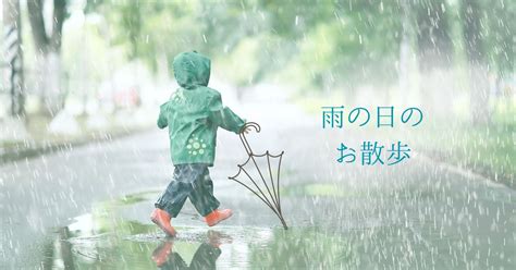 雨の日のお散歩も快適：