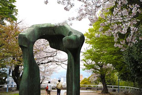 雨上がりの美しさを見出し、楽しむための完全ガイド：雨後を楽しむ