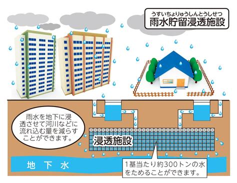 雨水貯留による水の持続可能性と節水戦略