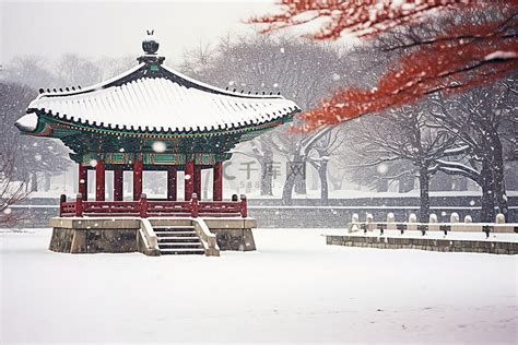 雪中送​​月