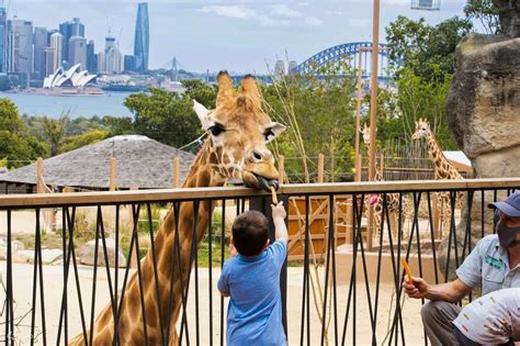 雪梨的新鮮事：塔龍加動物園 (Taronga Zoo 雪梨)