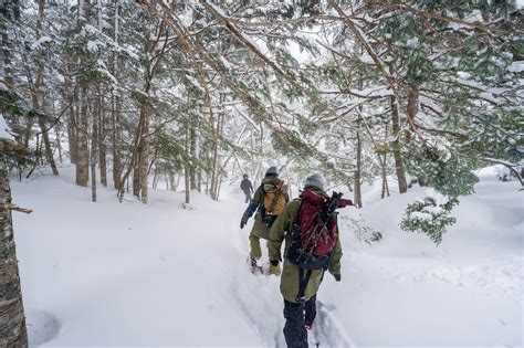 雪質優良：