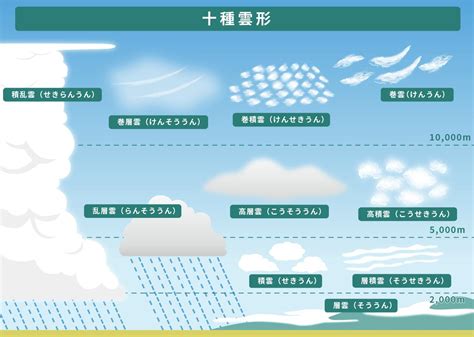 雲のような心地よさをもたらす、雲カーペットの世界へようこそ