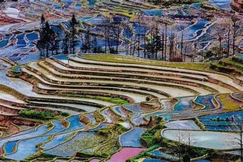 雲南元陽梯田：世界文化遺產的壯麗奇觀