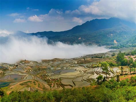 雲南 元 陽 梯田