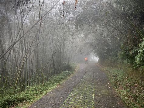 霧之道：定義與原理